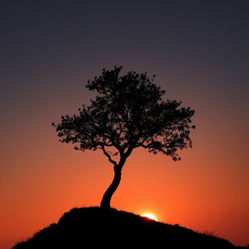 img-015