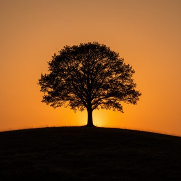 img-015
