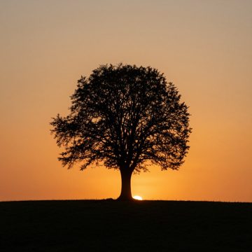 img-015