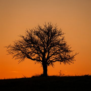 img-015